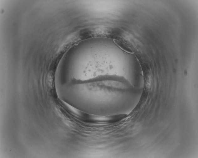 X0000089370715200706151158