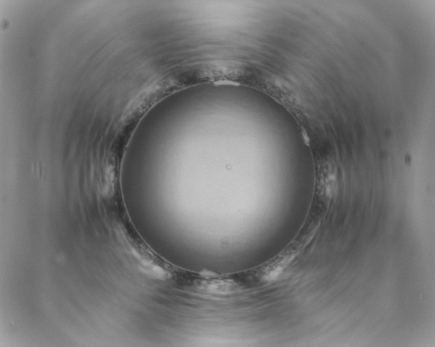 X0000089370716200706151158