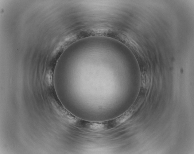 X0000089370718200706151158