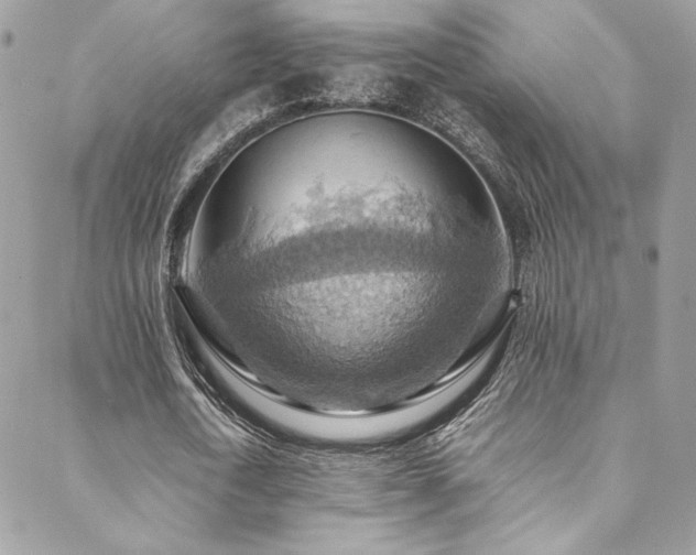 X0000089370722200706151158