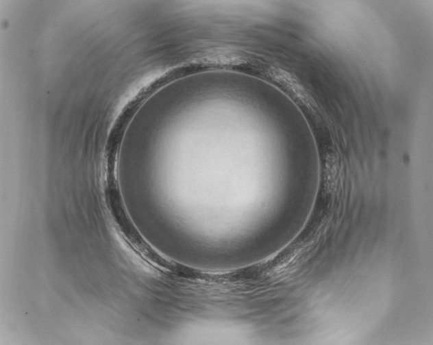 X0000089370726200706151158