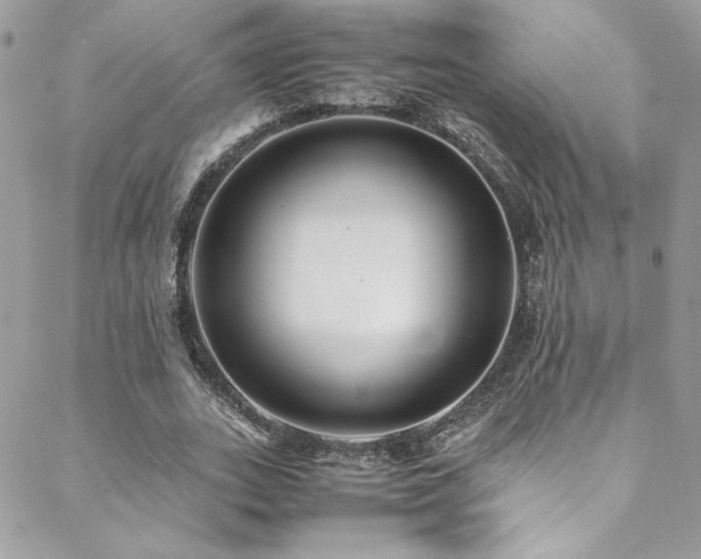 X0000089370727200706151158