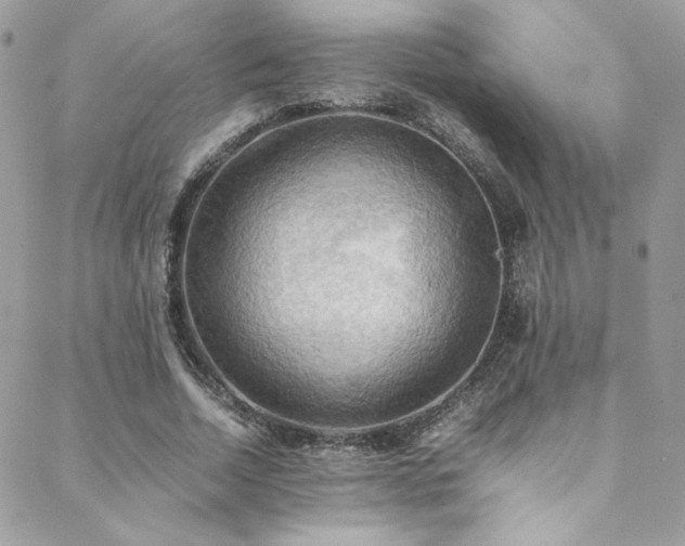 X0000089370730200706151158