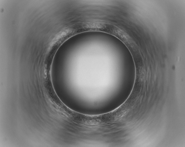 X0000089370731200706151158