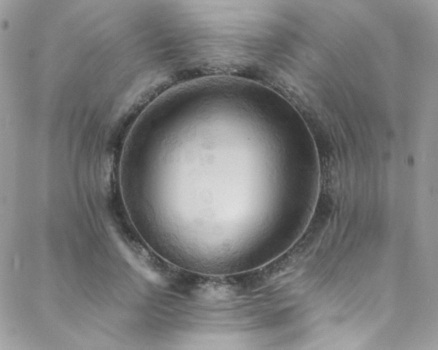 X0000089370742200706151158