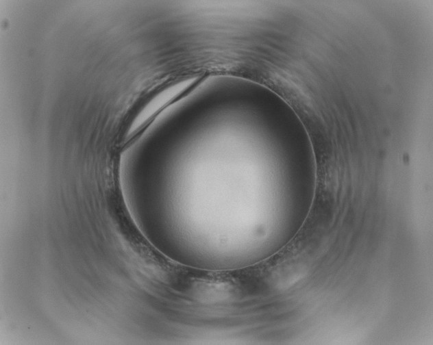 X0000089370743200706151158