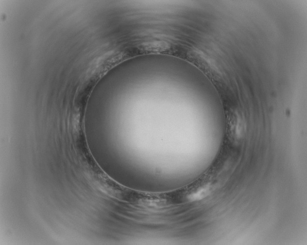 X0000089370745200706151158