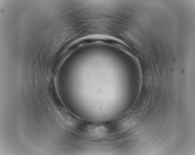 X0000089370747200706151158