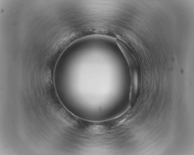X0000089370748200706151158