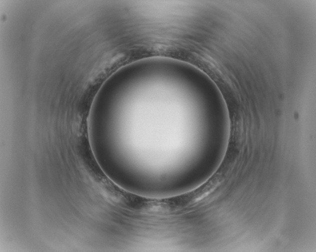 X0000089370750200706151158