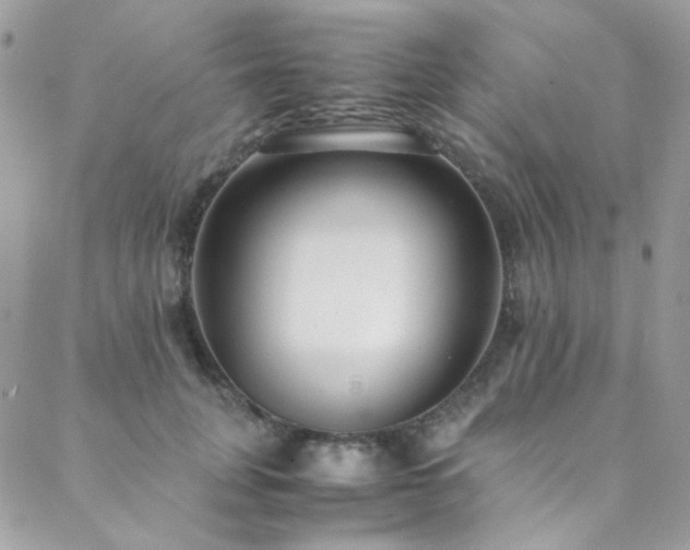 X0000089370751200706151158