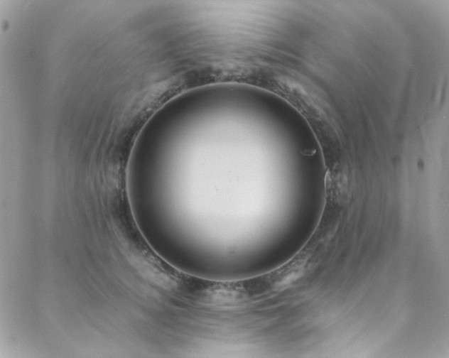 X0000089370756200706151158