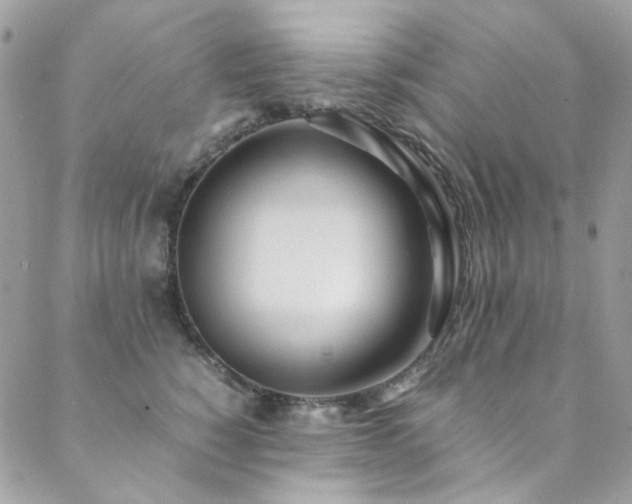 X0000089370760200706151158