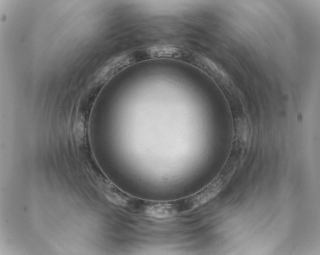 X0000089370761200706151158