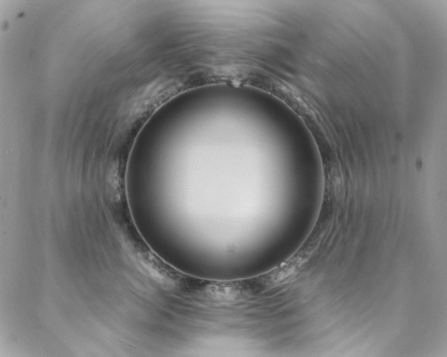 X0000089370764200706151158