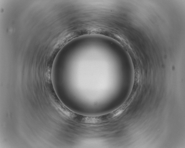 X0000089370766200706151158