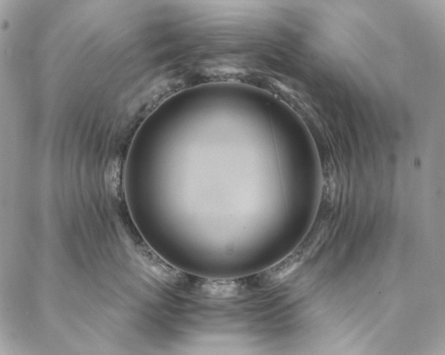 X0000089370767200706151158