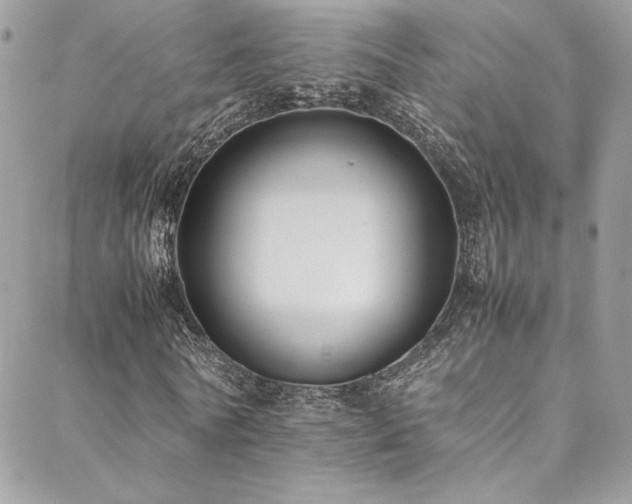 X0000089370770200706151158
