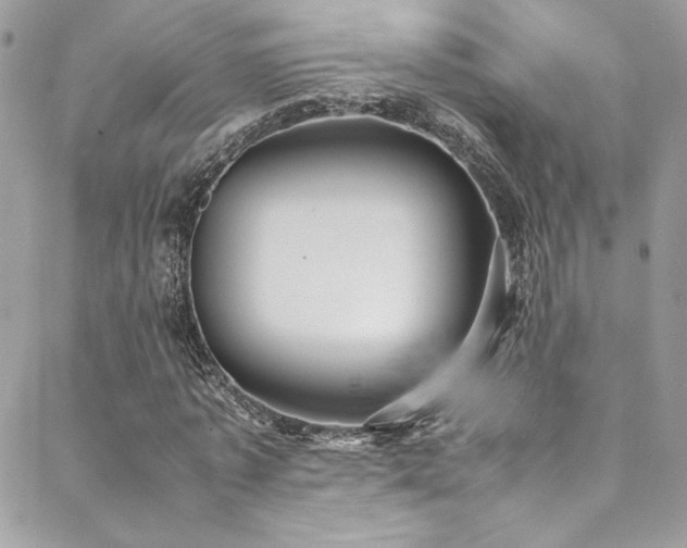 X0000089370773200706151158