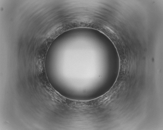 X0000089370774200706151157