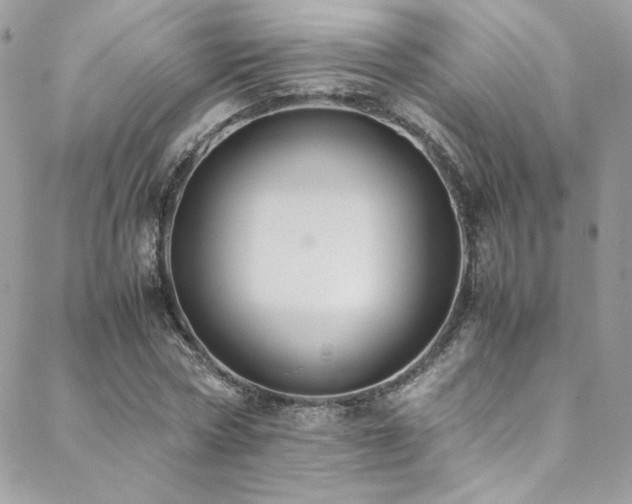 X0000089370778200706151157