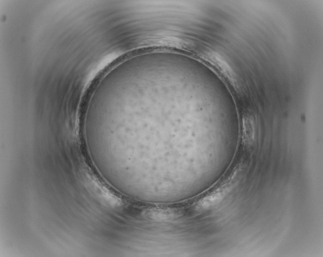 X0000089370780200706151157