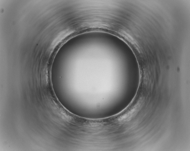 X0000089370782200706151157