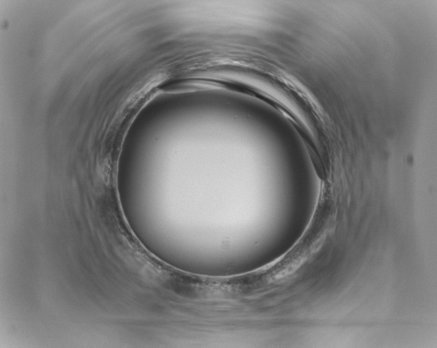 X0000089370785200706151157