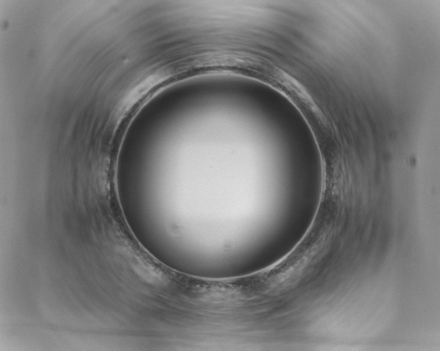 X0000089370786200706151157