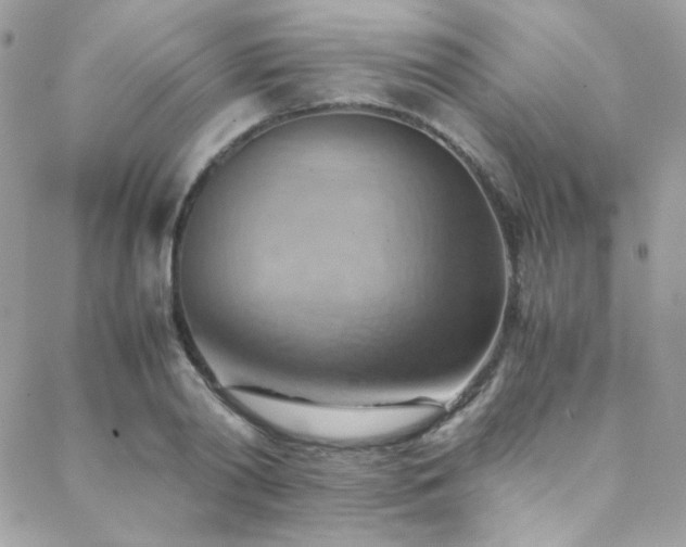 X0000089370790200706151157