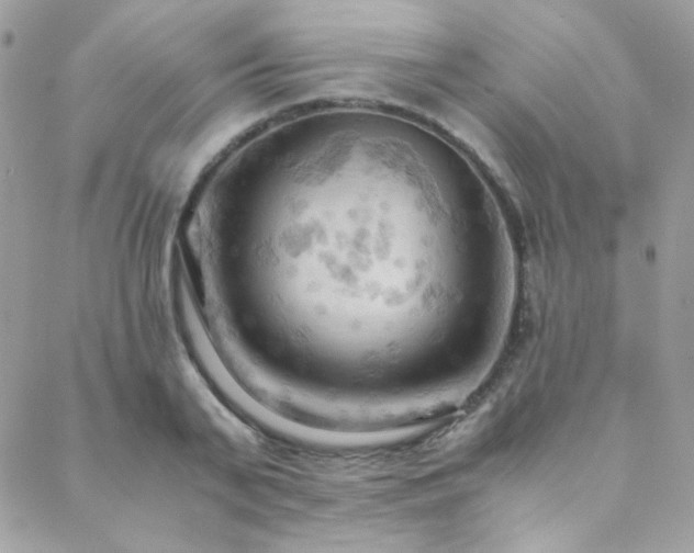 X0000089370791200706151157