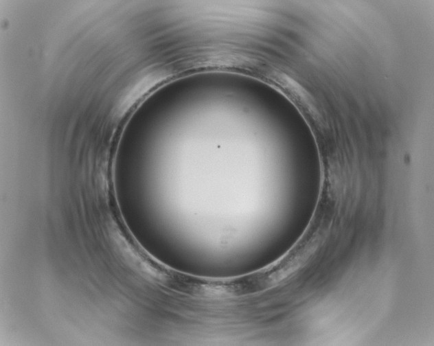 X0000089370794200706151157