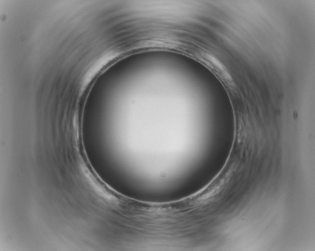 X0000089370796200706151157