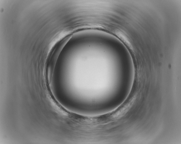 X0000089370797200706151157