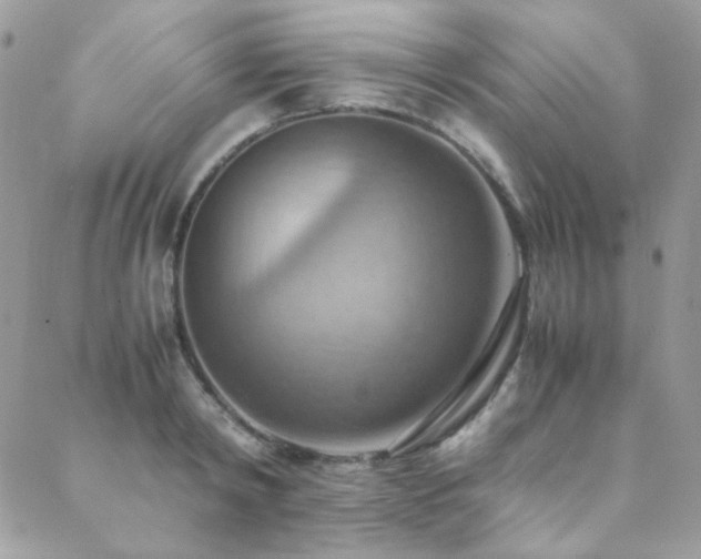 X0000089370798200706151157
