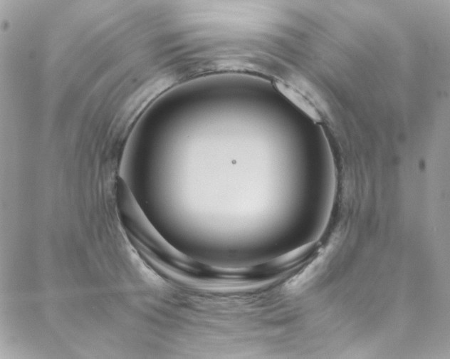X0000089370801200706151157