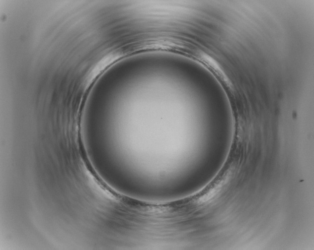 X0000089370802200706151157
