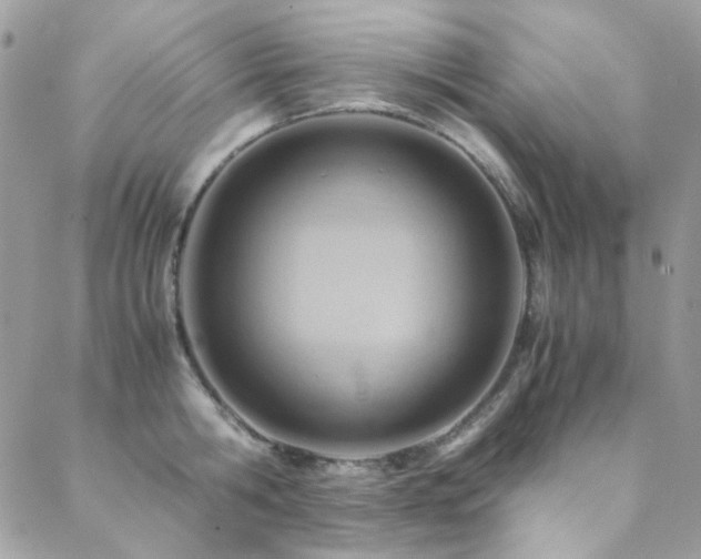 X0000089370806200706151157