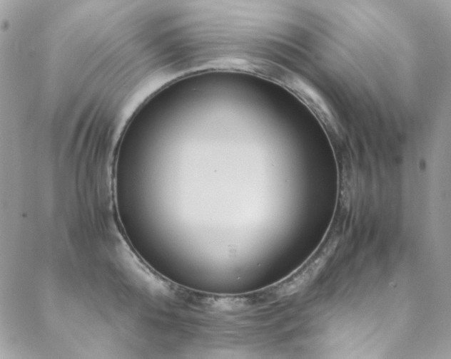 X0000089370808200706151157