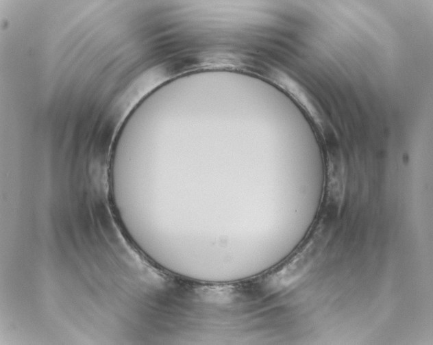 X0000089370810200706151157