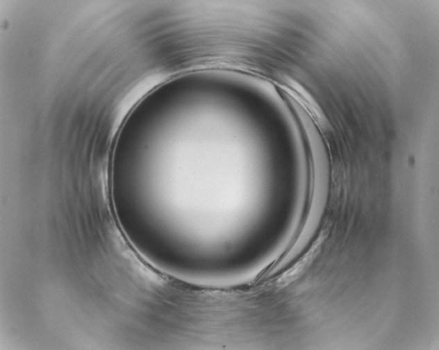 X0000089370812200706151157