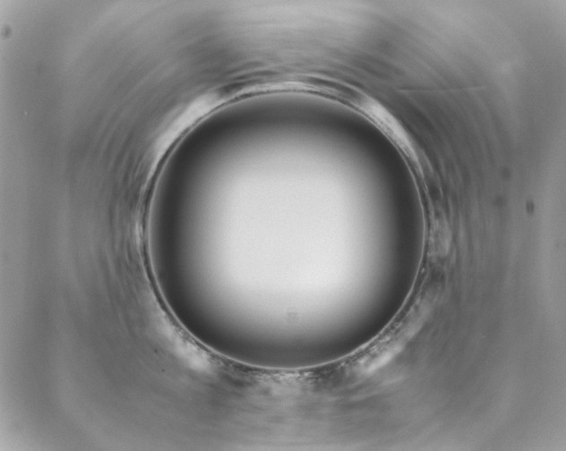 X0000089370813200706151157