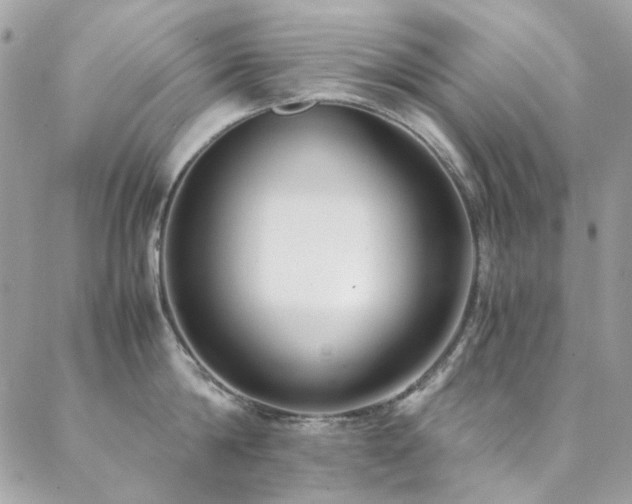 X0000089370814200706151157