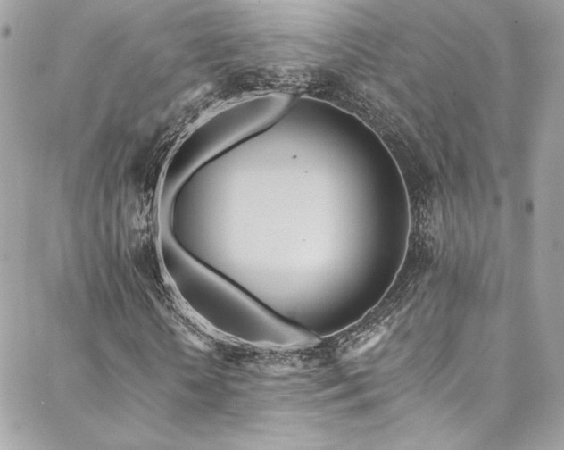 X0000089370818200706151156