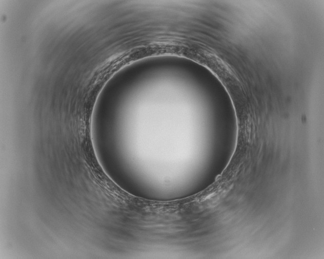 X0000089370821200706151156