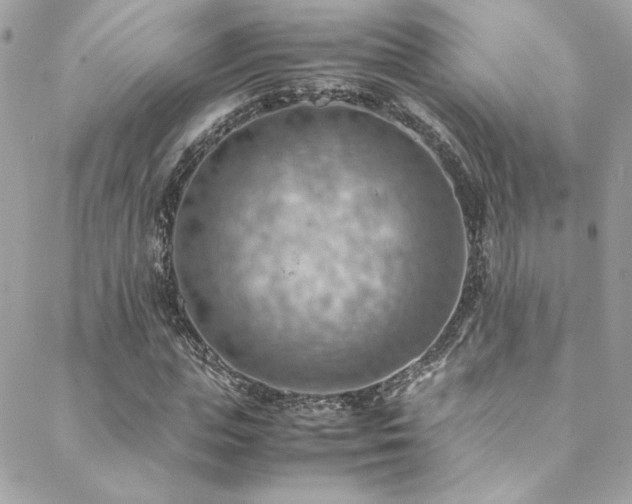 X0000089370823200706151156
