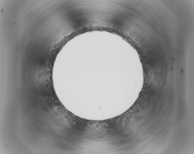 X0000089370824200706151156