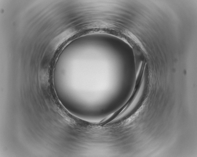 X0000089370826200706151156