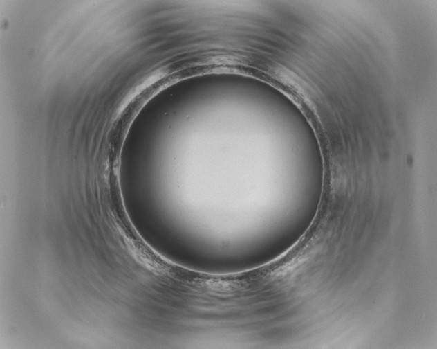 X0000089370827200706151156