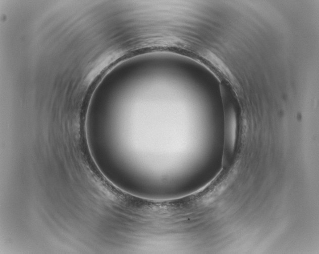 X0000089370834200706151156